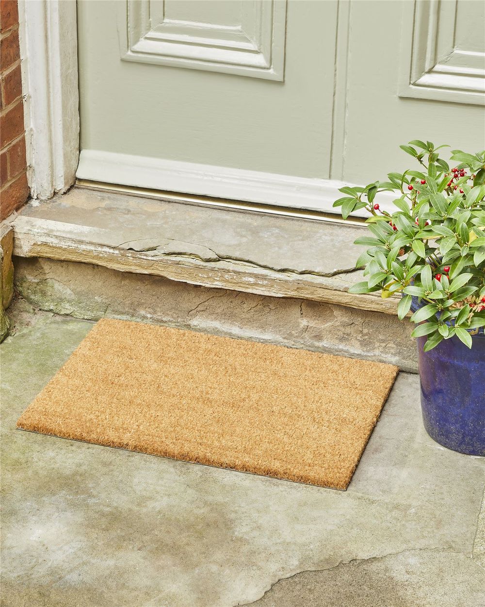 Astley Plain Rectangle Doormat Natural Non-Slip PVC Backing Waterproof