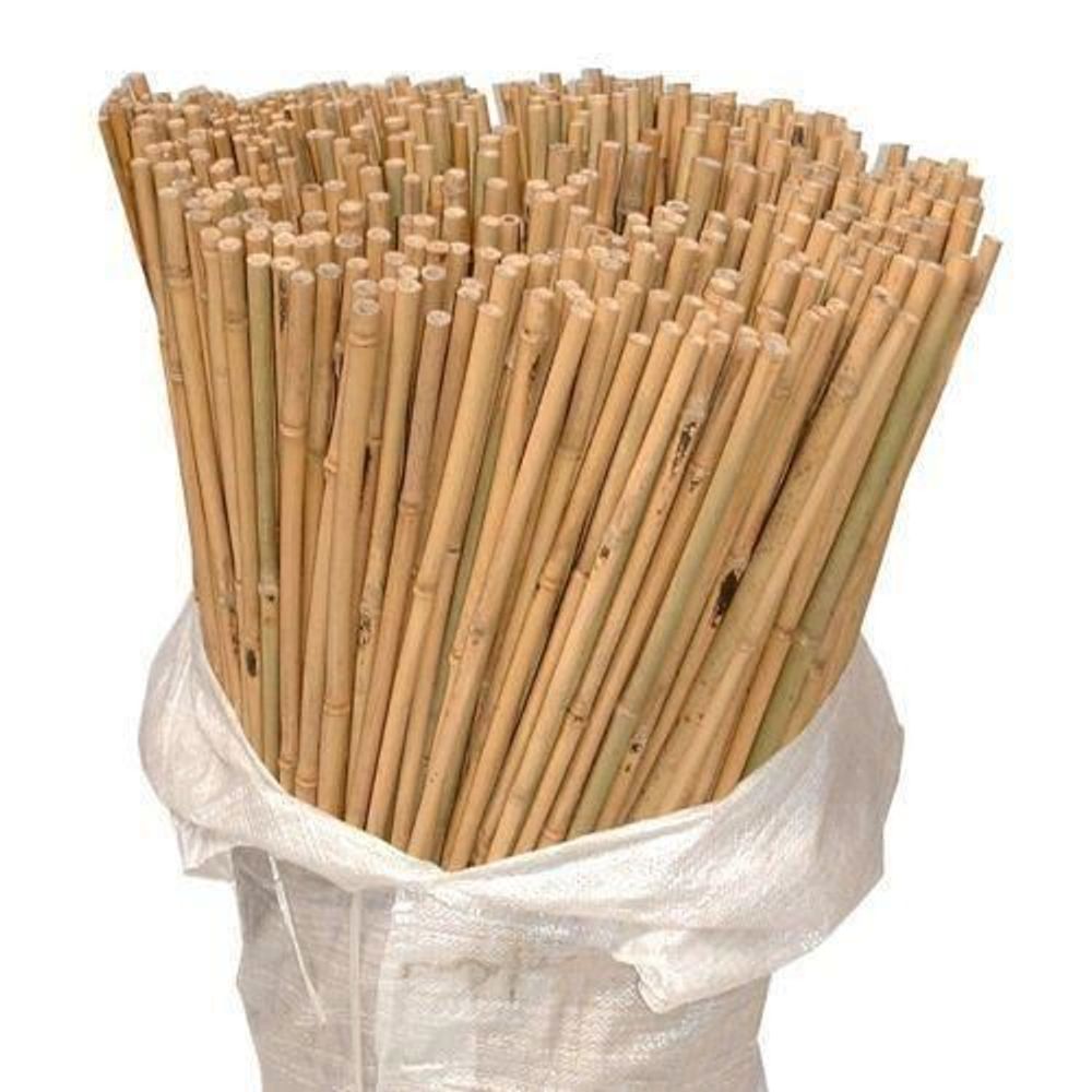 40 x 6FT (180cm) Bamboo Canes