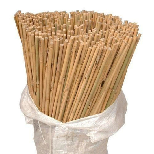 40 x 6FT (180cm) Bamboo Canes