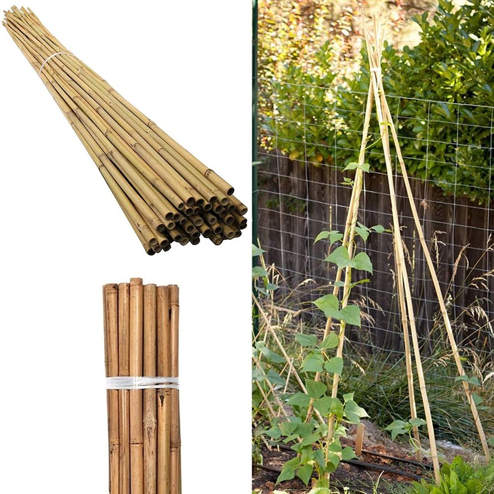 40 x 6FT (180cm) Bamboo Canes